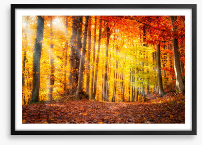 Seasonal gold