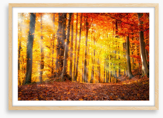 Seasonal gold