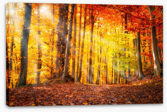 Seasonal gold