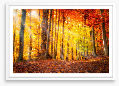 Seasonal gold