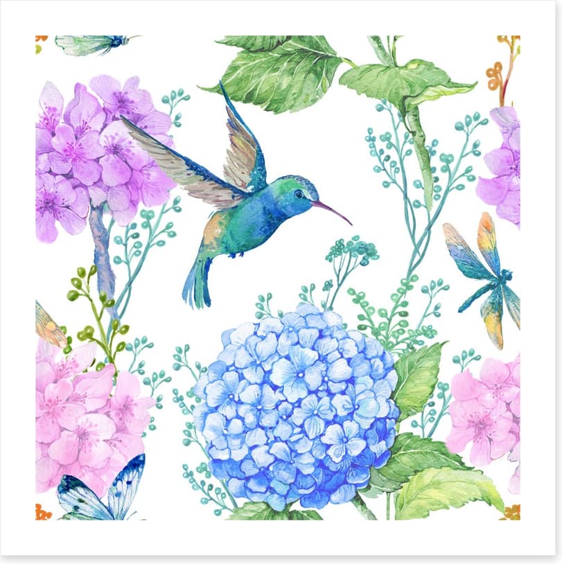 Hummingbird hydrangeas
