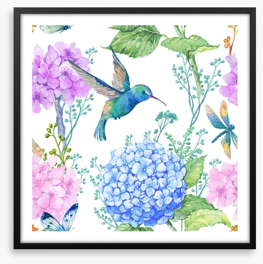Hummingbird hydrangeas