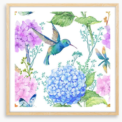 Hummingbird hydrangeas