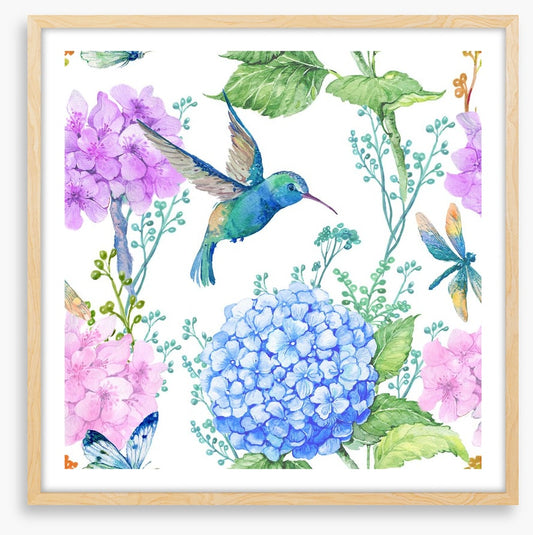 Hummingbird hydrangeas