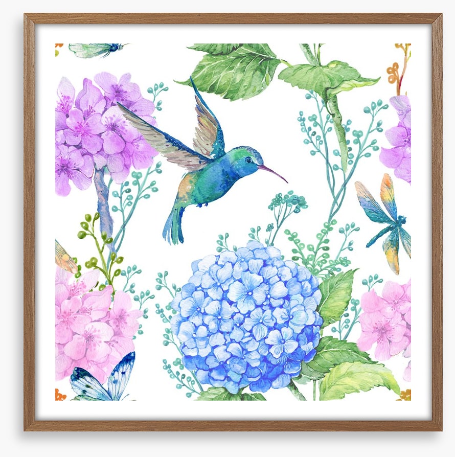 Hummingbird hydrangeas