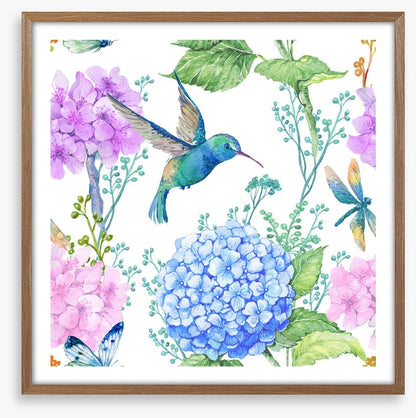 Hummingbird hydrangeas