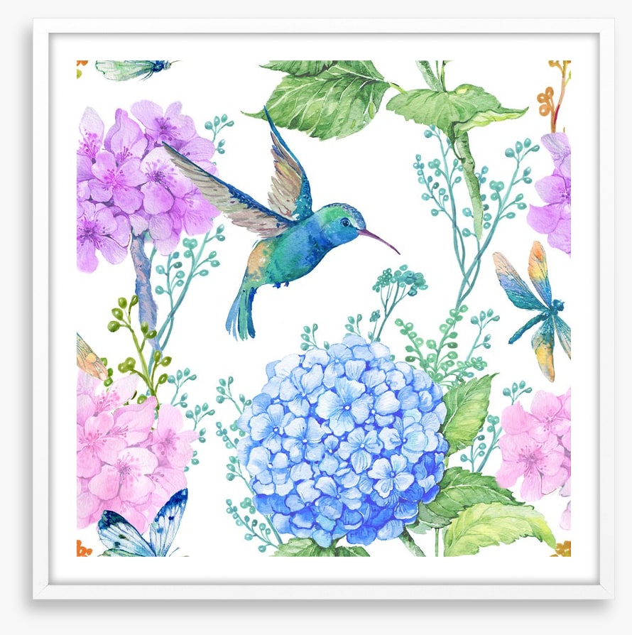 Hummingbird hydrangeas