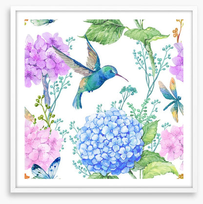 Hummingbird hydrangeas