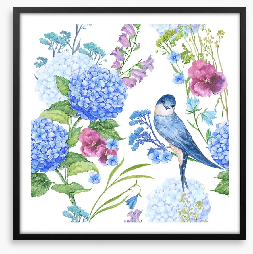 Blue bird hydrangeas