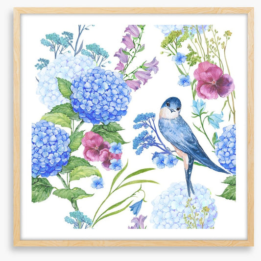 Blue bird hydrangeas
