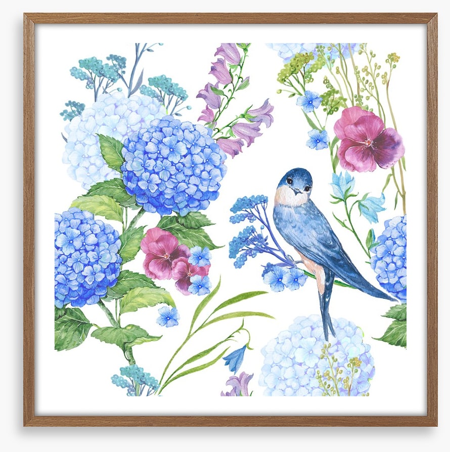 Blue bird hydrangeas