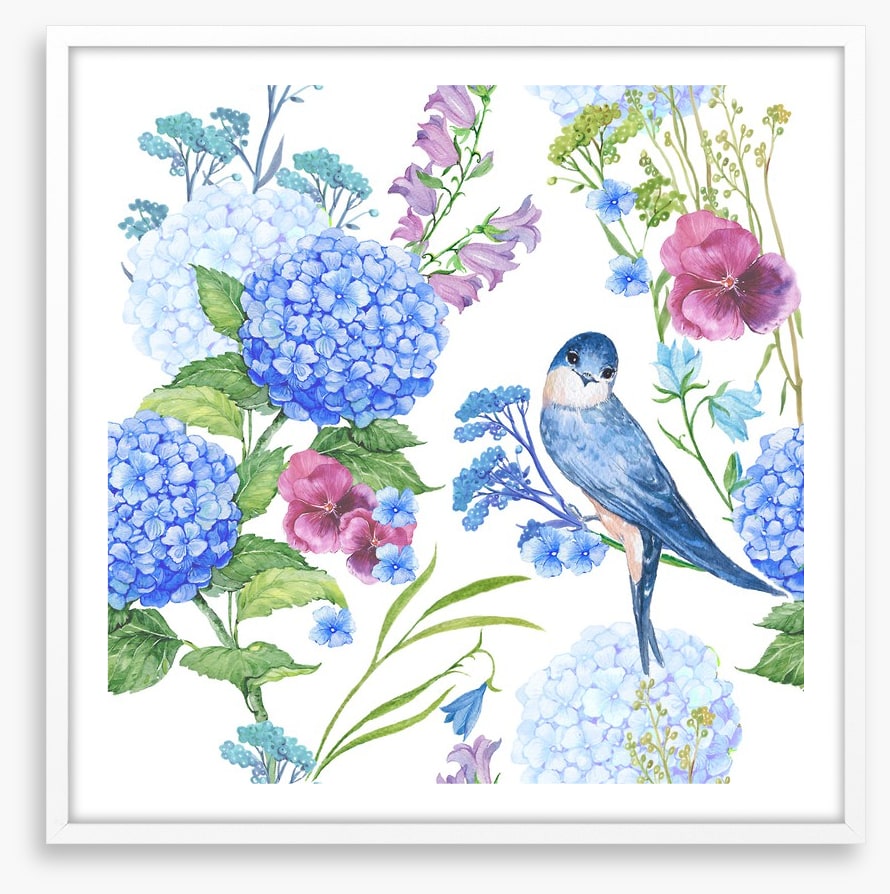 Blue bird hydrangeas