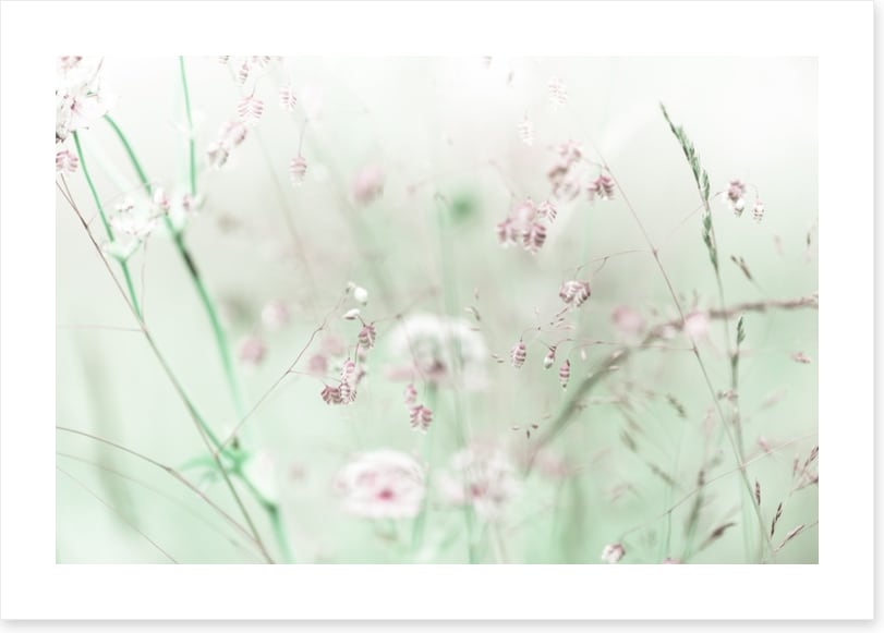 As sweet as spring