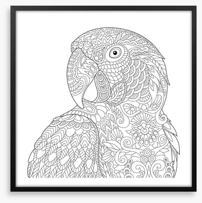 Colour me macaw