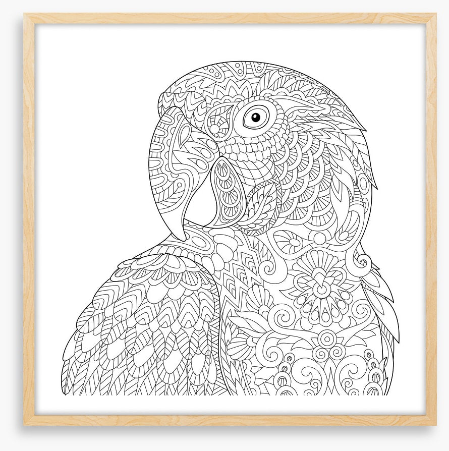 Colour me macaw