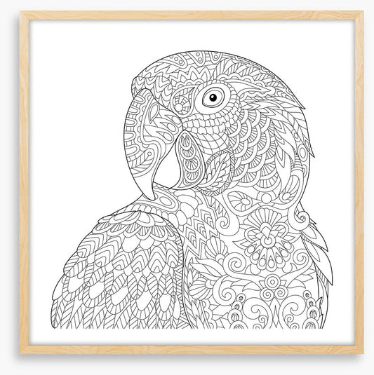 Colour me macaw