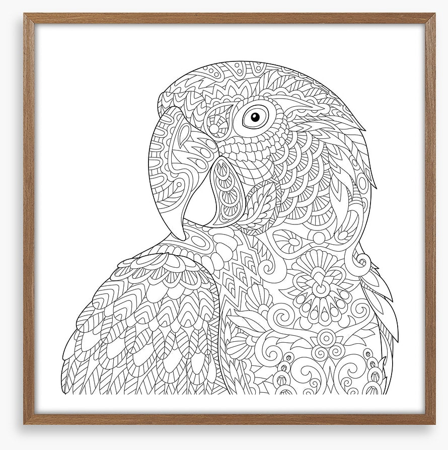 Colour me macaw