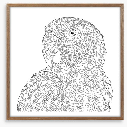 Colour me macaw