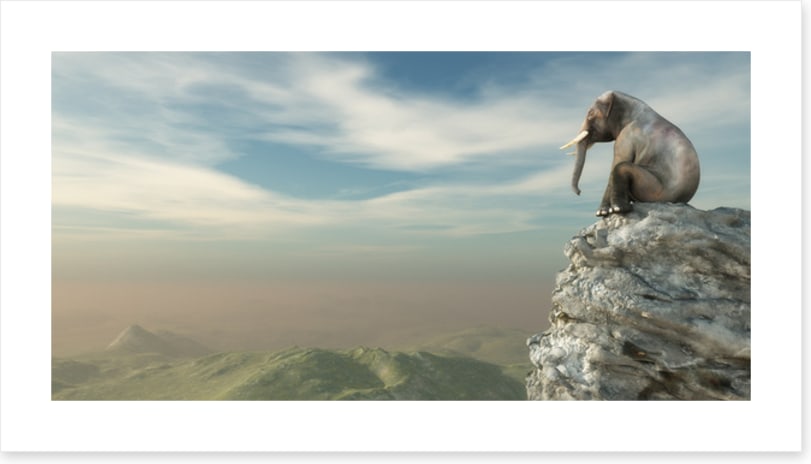 On the edge