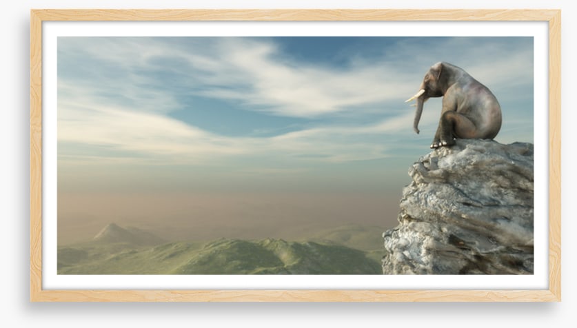 On the edge