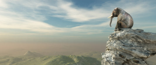 On the edge