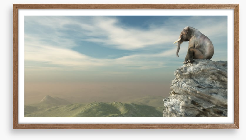 On the edge