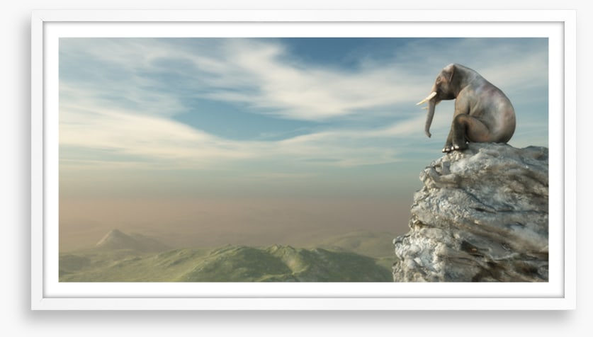 On the edge