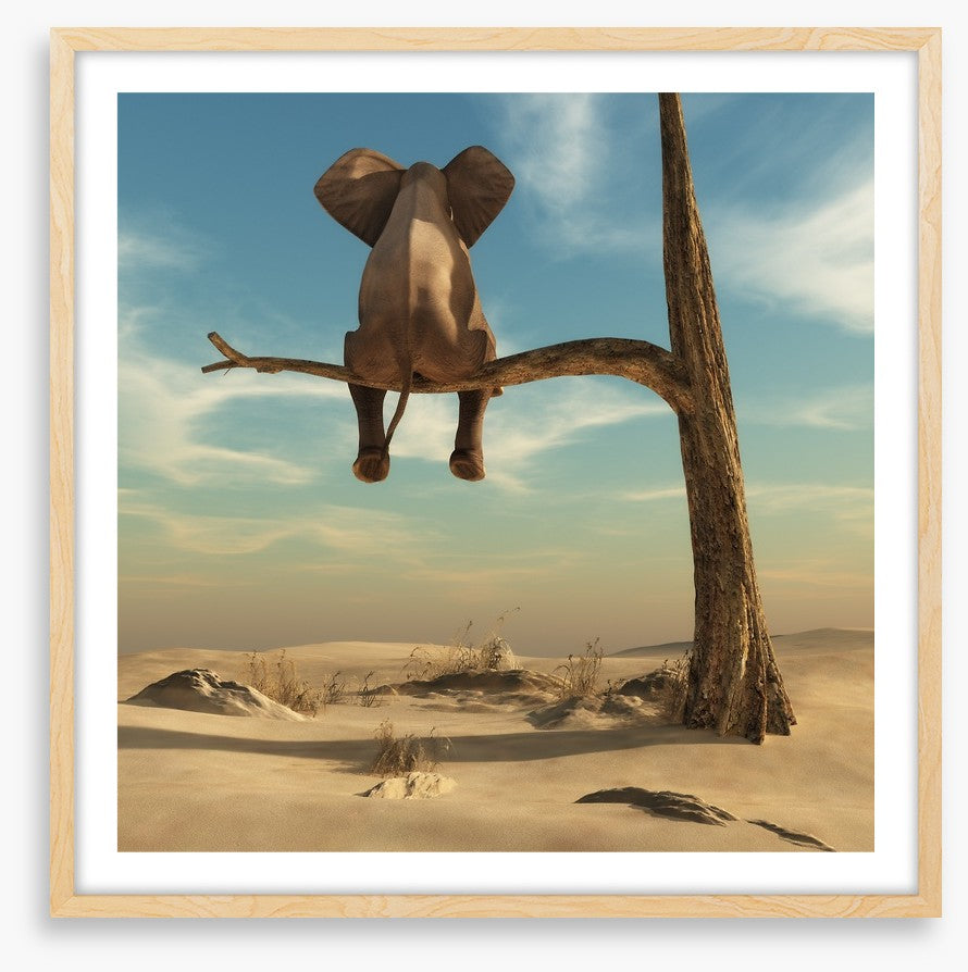 Waiting in the desert