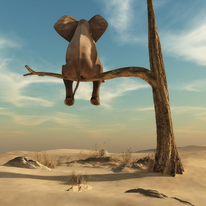 Waiting in the desert