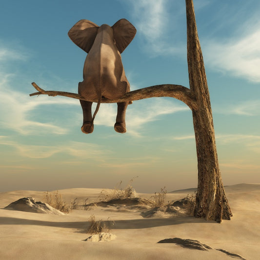 Waiting in the desert