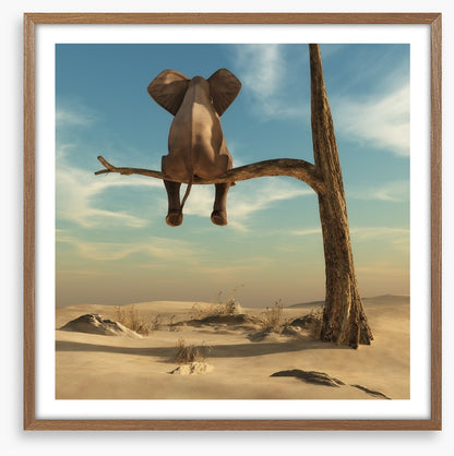 Waiting in the desert