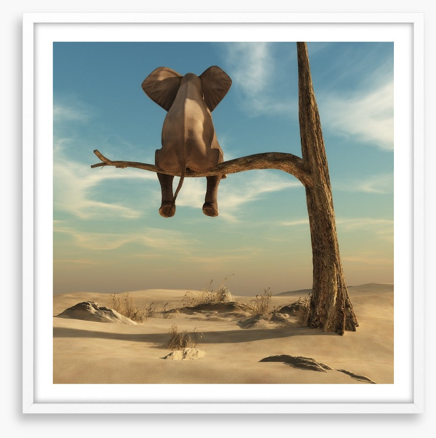 Waiting in the desert