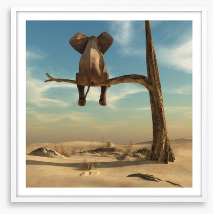 Waiting in the desert