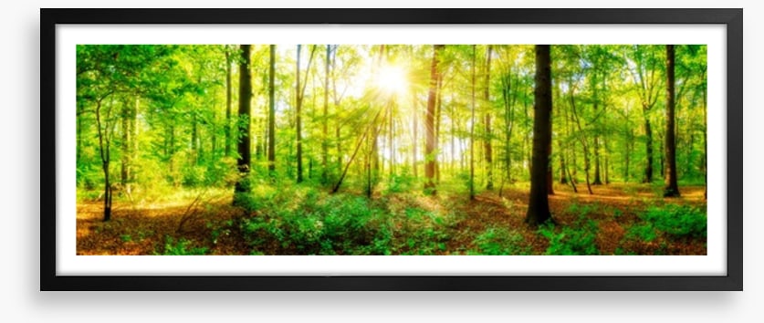 Fresh light panorama