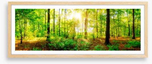 Fresh light panorama