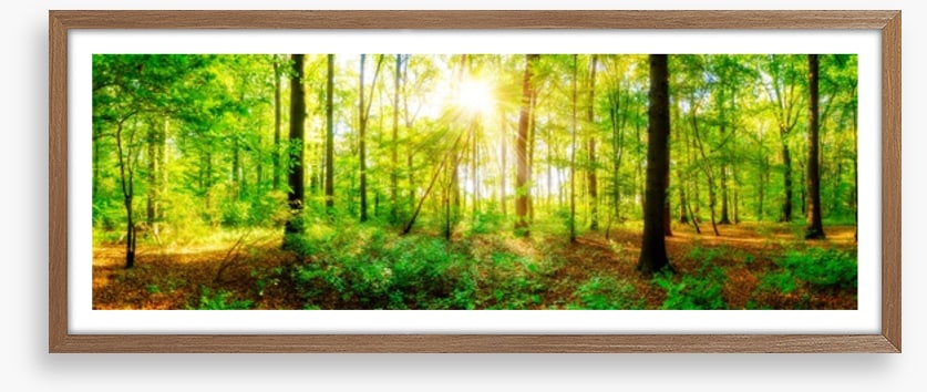 Fresh light panorama