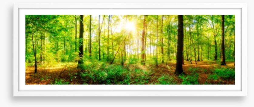 Fresh light panorama