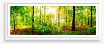 Fresh light panorama