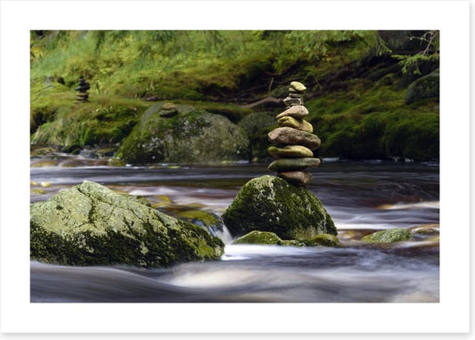 Natural balance