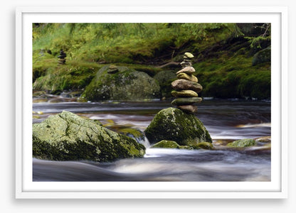 Natural balance