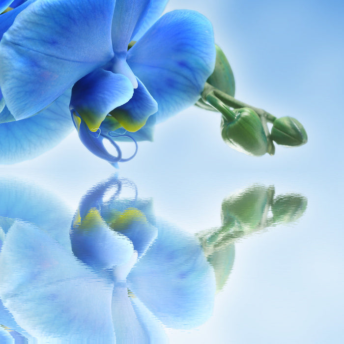 Time To Reflect 3 | Stretched Canvas – Wall Art Prints