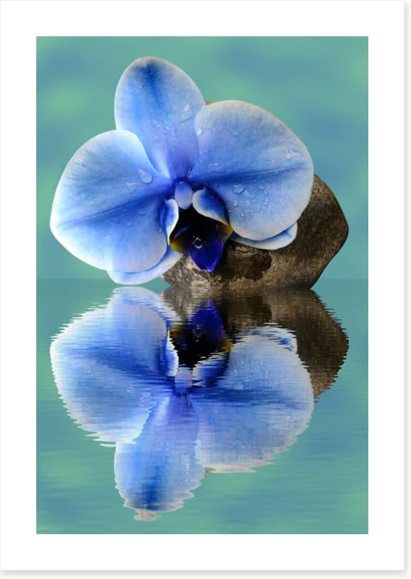 Time to reflect 2
