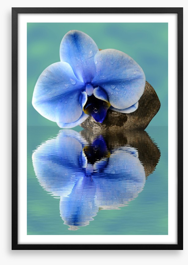 Time to reflect 2