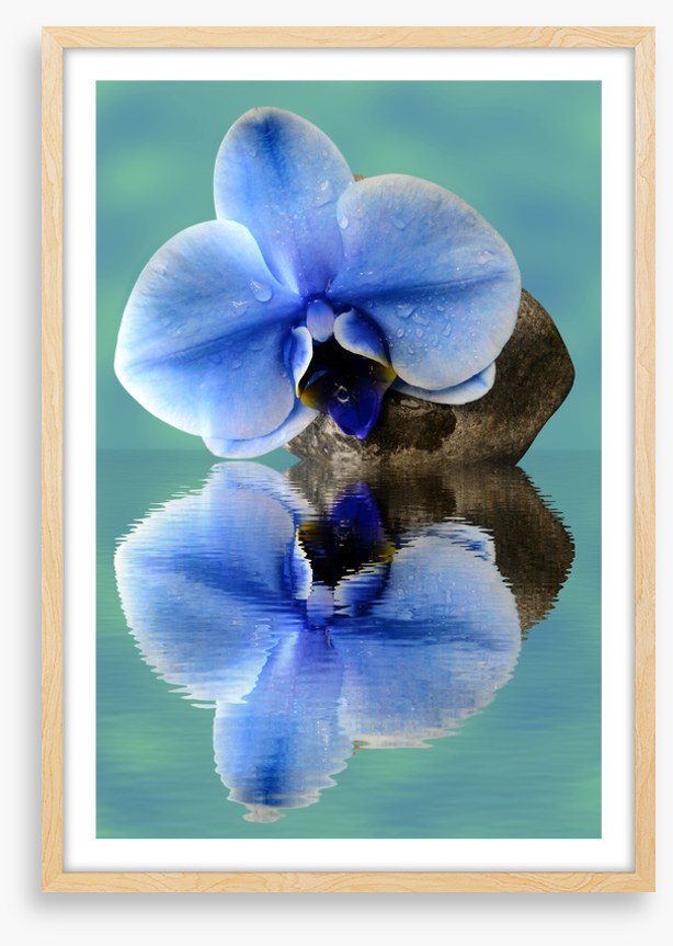 Time to reflect 2
