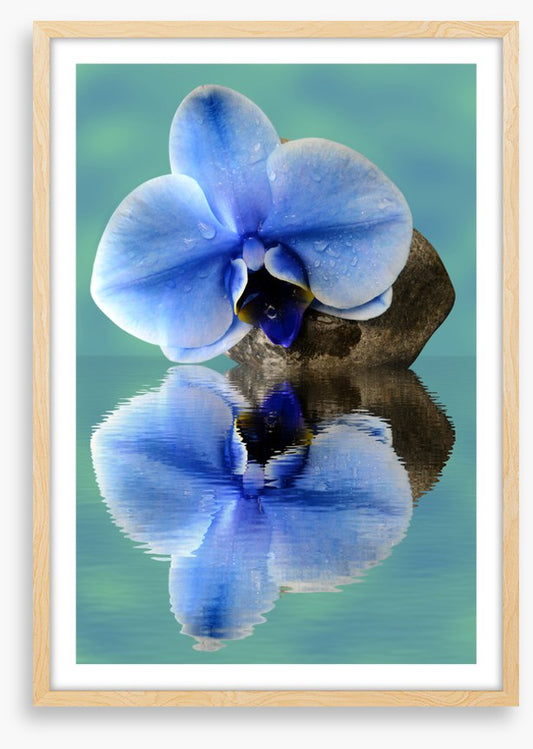 Time to reflect 2
