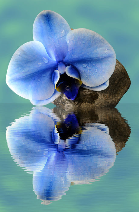 Time to reflect 2