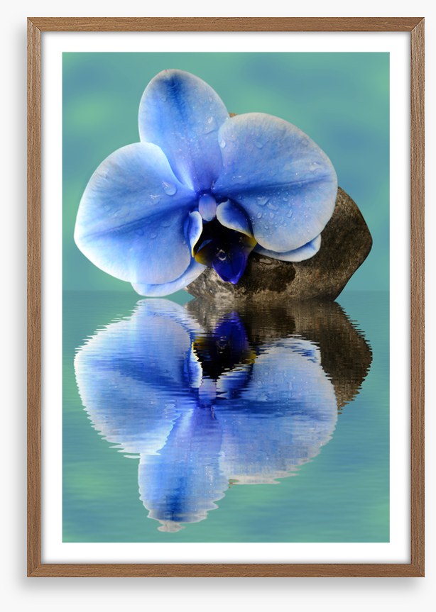 Time to reflect 2