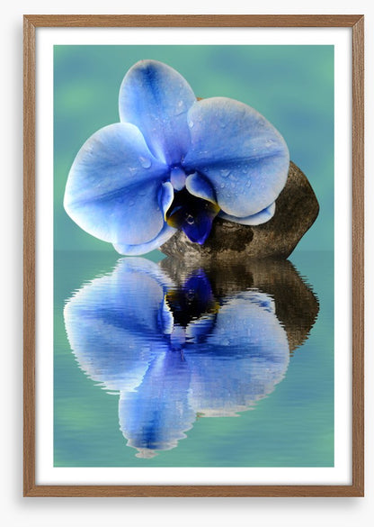 Time to reflect 2