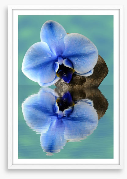 Time to reflect 2