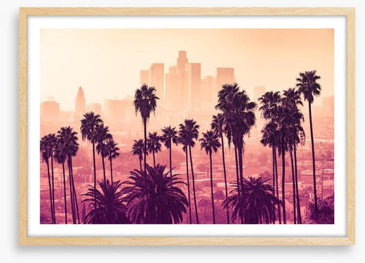 La La land